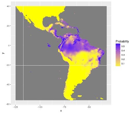 Distribution of probability of presence